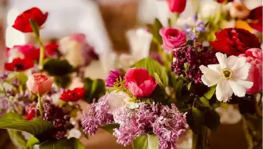 Bunch of flowers