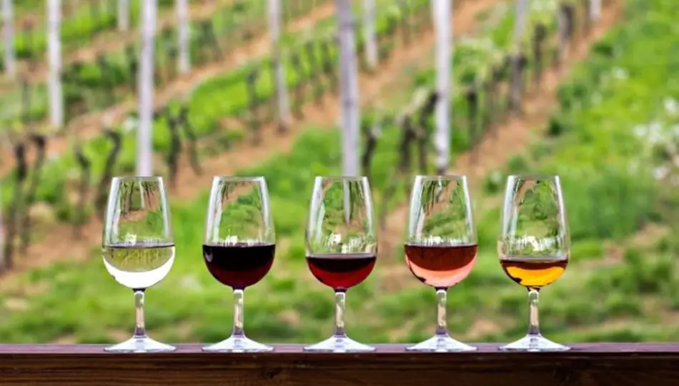 Five glasses of wine on a ledge with winery in background for a wine tasting